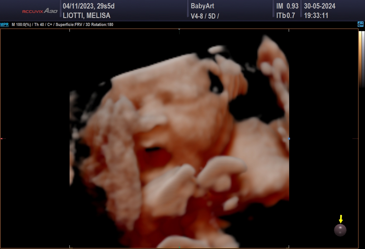 JULIA DE MELISA LIOTTI_0005.JPG